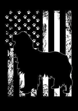 Cavalier King Charles