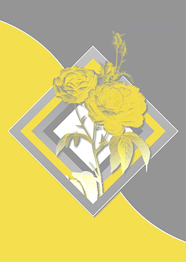 Illuminating Roses in Gray