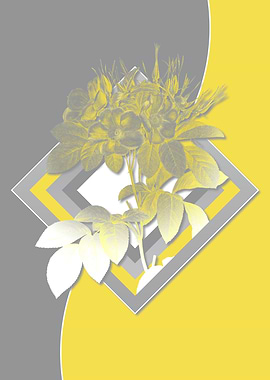 Retro Gray and Yellow Rose