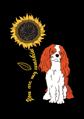 Cavalier King Charles