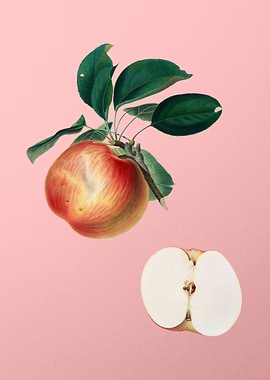 Vintage Apple on Rose Pink