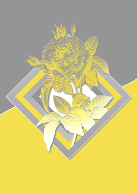 Illuminating Roses in Gray