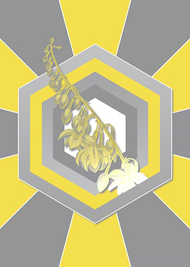 Vintage Cabuya in Yellow