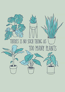 TOO MANY PLANTS