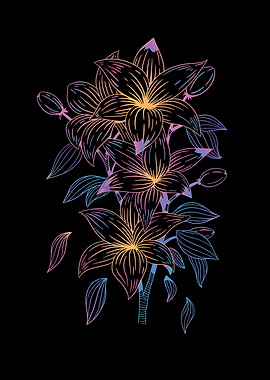 COLORFUL LILIES FLOWER