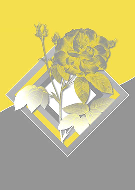 Retro Gray and Yellow Rose