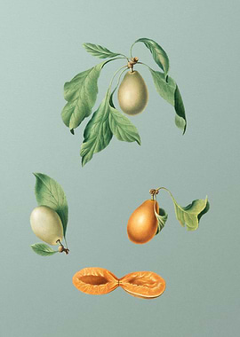 Vintage Prune Painting