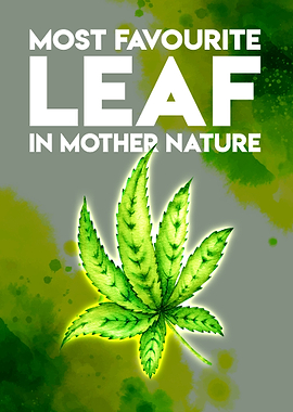 Cannabis Weed Marihuana