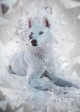 snow wolf