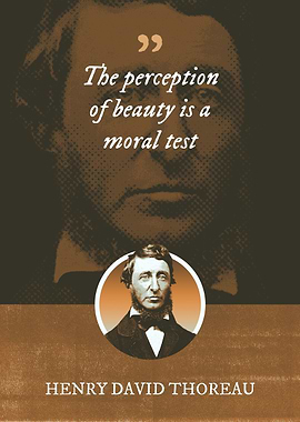 The perception of beauty