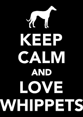 Whippet
