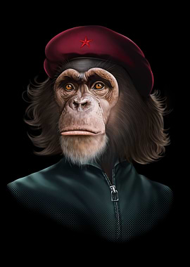 Chimpanzee Che Guevara