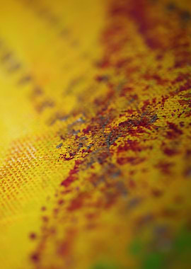 Colorful paint in canvas