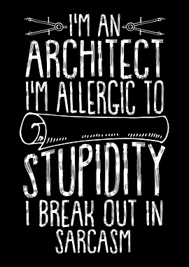 Architect Architecture Fun