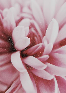 Girl you have got this