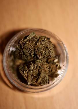 Super lemon haze CBD macro