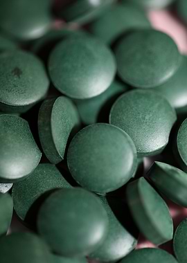 Spirulina platensis pills