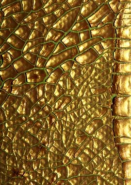 Golden cracked paint macro