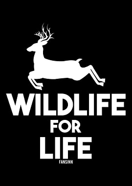 Gazelle antelope deer Afri