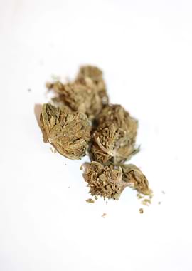 Super lemon haze CBD macro