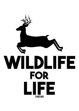 Gazelle antelope deer Afri