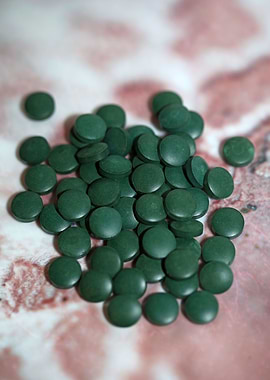 Spirulina platensis pills