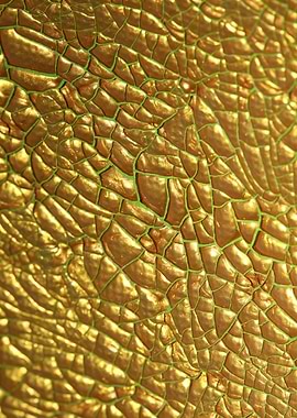 Golden cracked paint macro