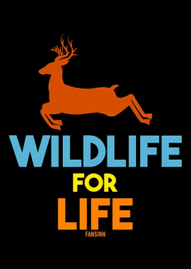 Gazelle antelope deer Afri