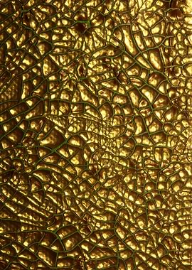 Golden cracked paint macro