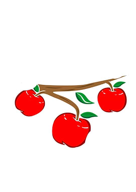 Apple Fruit Gift Idea