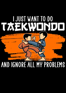 want to do taekwondo