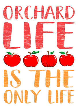 Apple Fruit Gift Idea