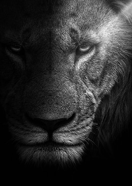 lion king face black white