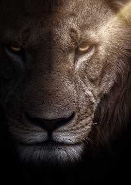 lion king face art poster