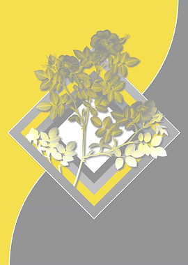 Grey and Yellow Rose Flora