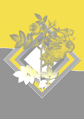 Grey and Yellow Rose Flora