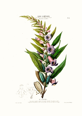 Le Gigiry Vintage Floral