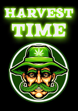 Cannabis Weed Marihuana