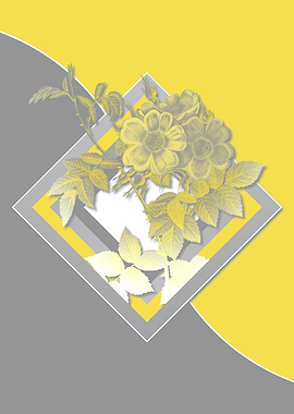 Grey and Yellow Rose Flora