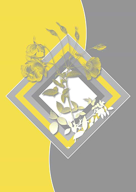 Grey and Yellow Rose Flora