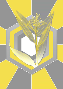 Geometric Yellow Florals