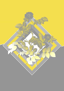 Grey and Yellow Rose Flora