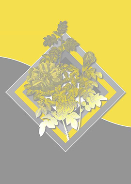 Grey and Yellow Rose Flora