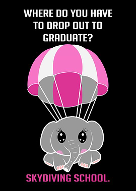 Drop Out Skydiver Gift