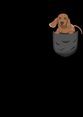 Dachshund Pocket