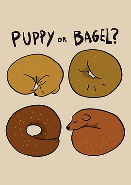PUPPY OR BAGEL