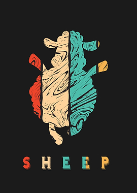 Sheep