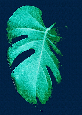 Single Monstera Leaf Black