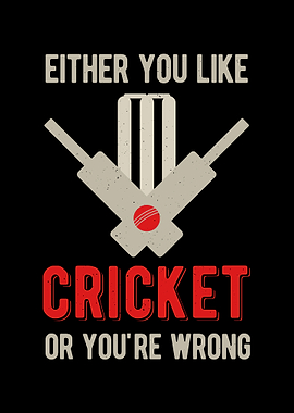 Funny Cricket Quote