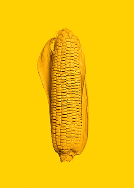 Yellow corn